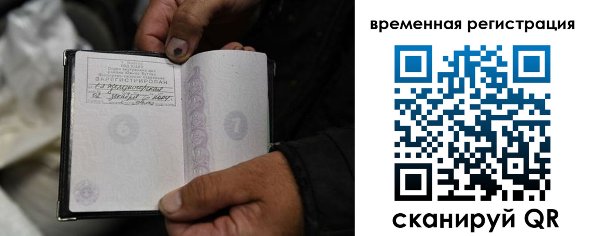 прописка поиск в Опочке